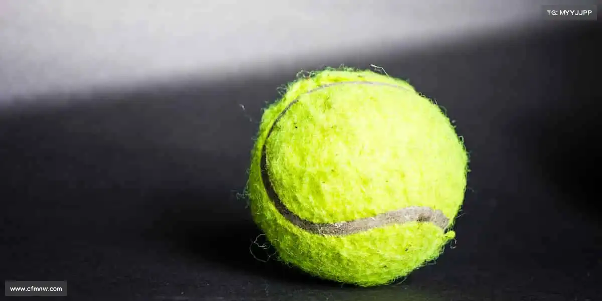 九游会j9——加入我们，让运动成为生活的高光时刻！🏀🎉